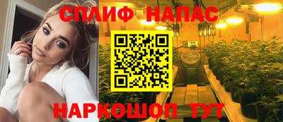 spice Севастополь