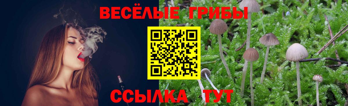 Галлюциногенные грибы Psilocybine cubensis  Вход с VPN  Волжск 